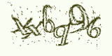 Проверочный код